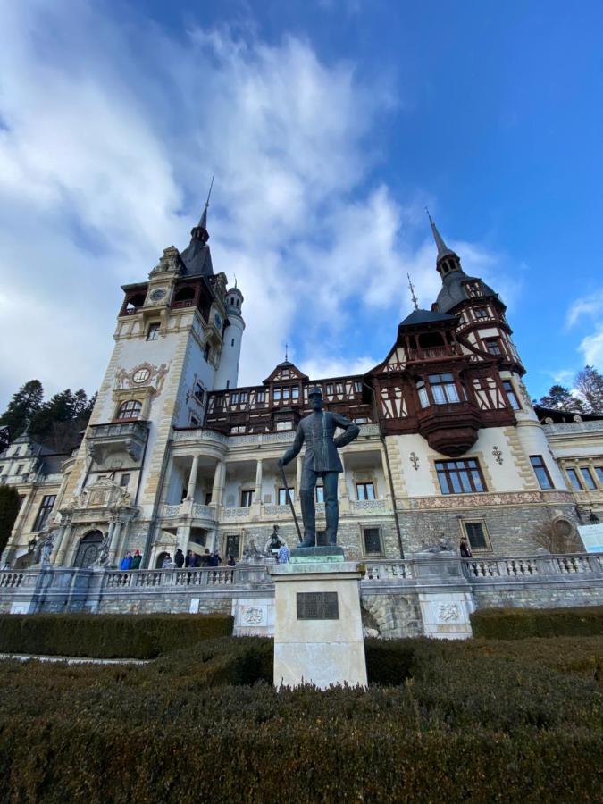 Vila De Argint Aleea Pelesului Nr 2 シナヤ エクステリア 写真