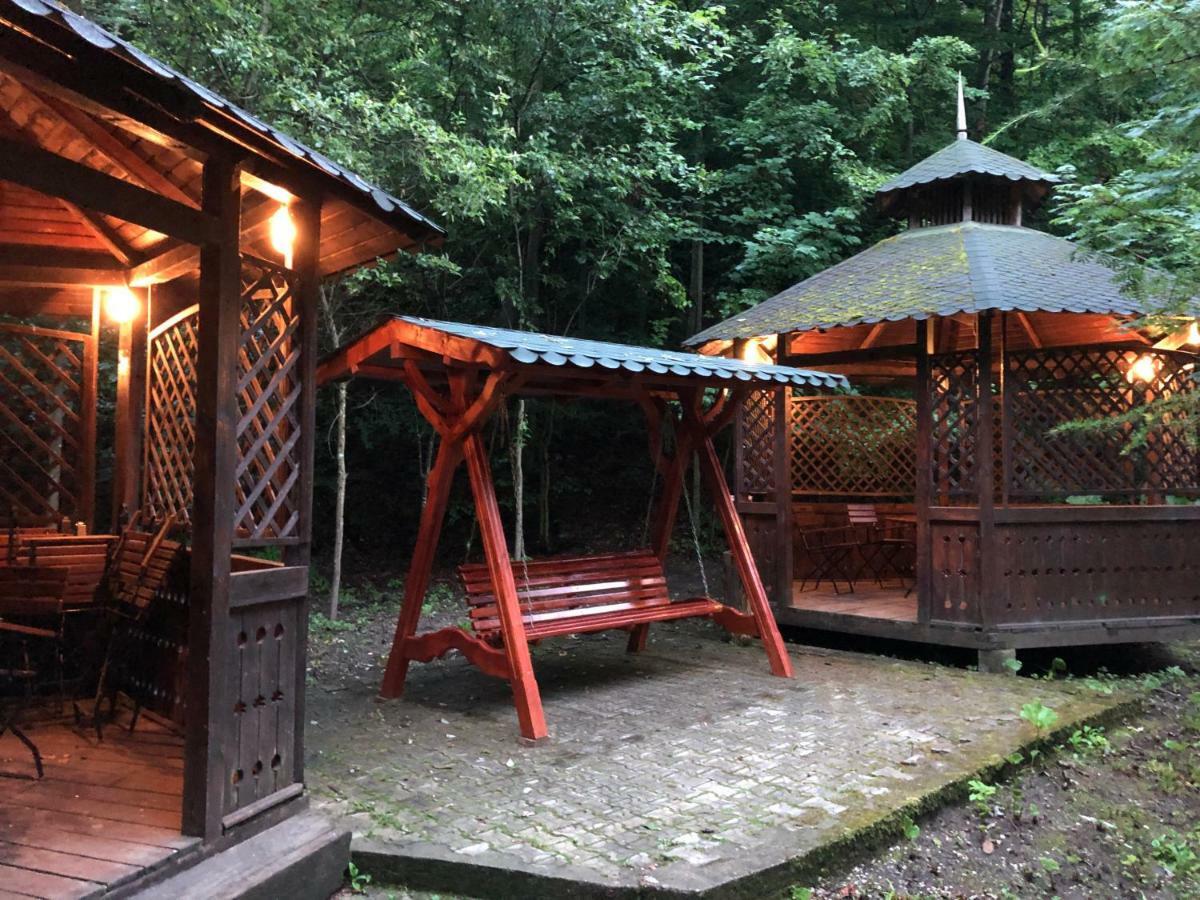 Vila De Argint Aleea Pelesului Nr 2 シナヤ エクステリア 写真
