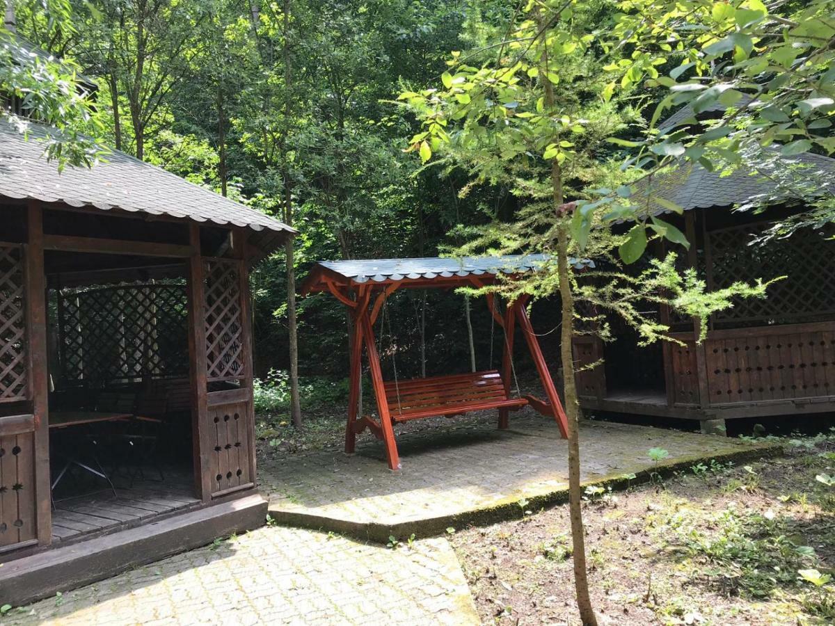 Vila De Argint Aleea Pelesului Nr 2 シナヤ エクステリア 写真
