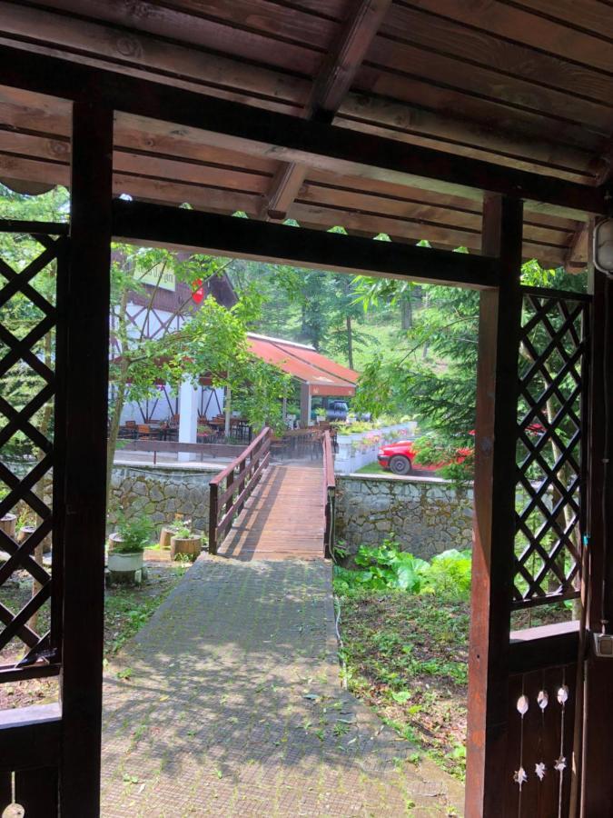 Vila De Argint Aleea Pelesului Nr 2 シナヤ エクステリア 写真